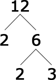 The 6 branching off to 2 and 3.