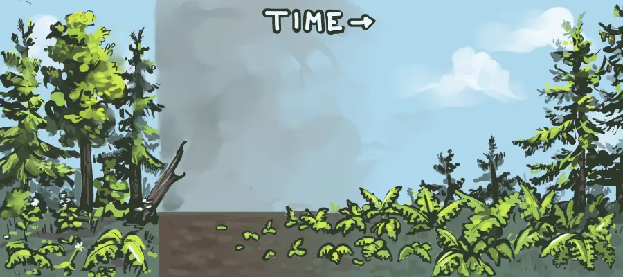 This is an illustration depicting ecological succession. It shows a fern spike after a major disturbance.