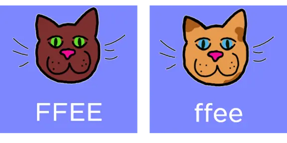 Hypothetical phenotypes and genotypes for the P generation in our cat dihybrid cross