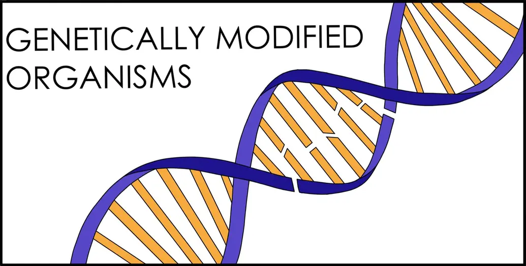 A DNA strand with a part broken off