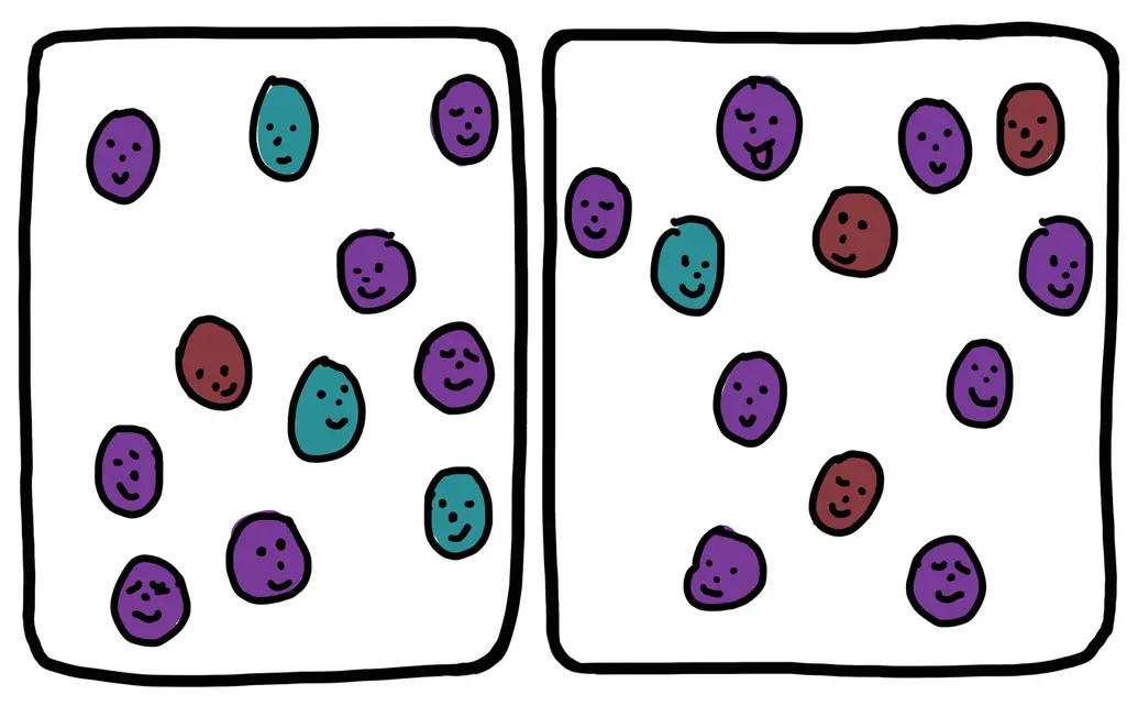 This cartoon drawing shows an example of geographic isolation. The image shows about 20 cartoon faces inside of two black rectangles representing their habitats. Most of the faces are purple, a few are blue and a few are red. In this picture, the rectangle environment has fractured into two boxes, separating the faces into two populations. By random chance, one population has more blue faces, while the other has more red. However, the majority of both populations is still purple.