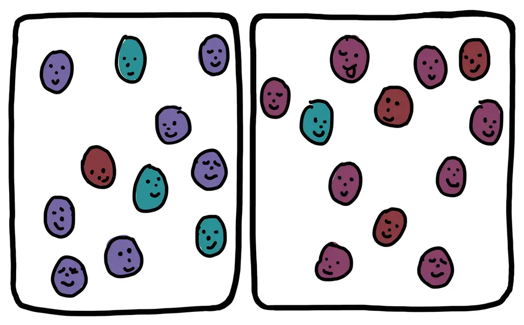This cartoon drawing shows an example of geographic isolation. The image shows about 20 cartoon faces inside of two black rectangles representing their habitats. In this picture, the rectangle environment has fractured into two boxes, separating the faces into two populations. By random chance, one population has more blue faces, while the other has more red. Now, after some time has passed, one population is a mix of mostly blue and blueish-purple faces, while the other is a mix of mostly red and reddish-purple faces.
