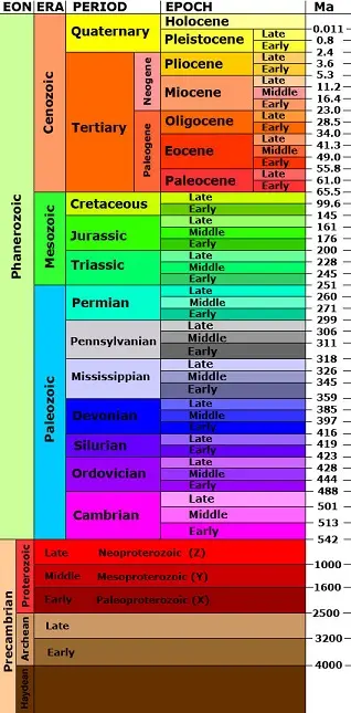 A diagram of the geological time scale