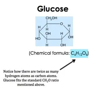 Glucose has the chemical formula C 6 H 12 O 6. Notice how there are twice as many hydrogen atoms as carbon atoms. Glucose fits the standard CH 2 O ratio mentioned above.