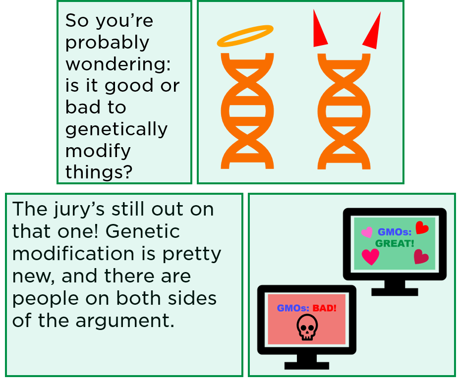 So you're probably wondering: is it good or bad to genetically modify things? The jury's still out on that one! Genetic modification is pretty new, and there are people on both sides of the argument.