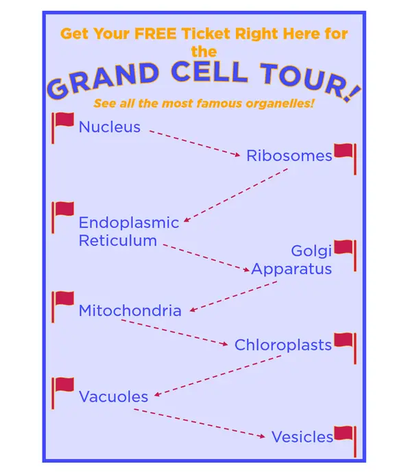 This image is an advertisement for the Grand Cell Tour.
"Get your free ticket right here for the Grand Cell Tour! See all the most famous organelles!"
There are four flags on the left and four on the right. Arrows point diagonally downward, alternating from left to right. Each flag has the name of an organelle next to it. From the top down are nucleus, ribosomes, endoplasmic reticulum, Golgi apparatus, mitochondria, chloroplasts, vacuoles, and vesicles.