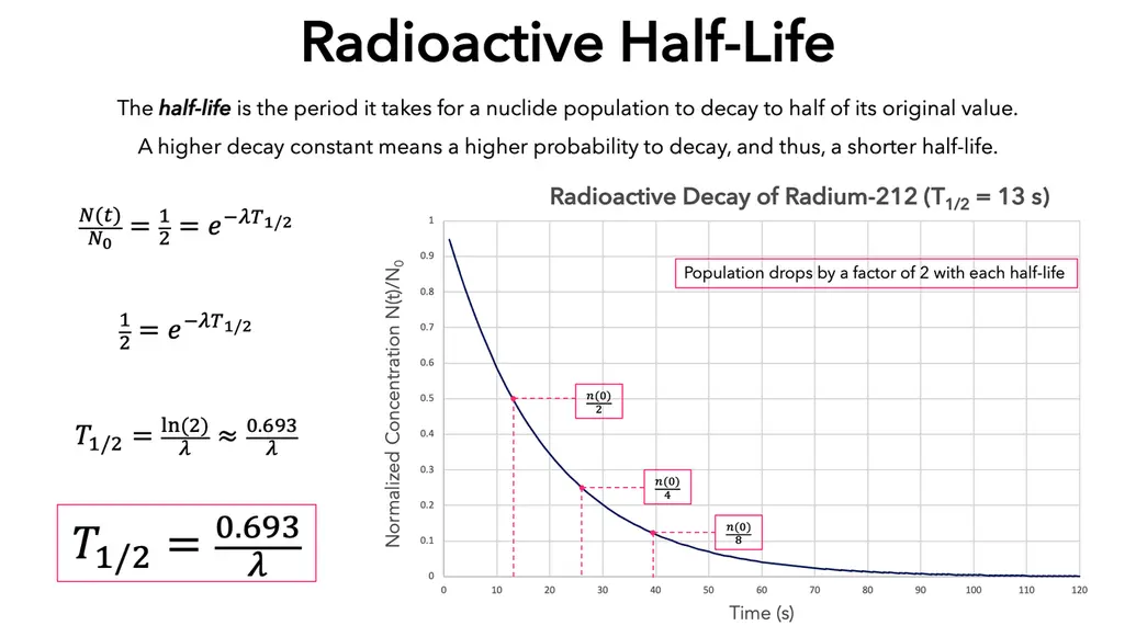 Graph of half-lives and relationship with decay constant