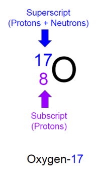 The isotope oxygen-17 has eight protons and nine neutrons.