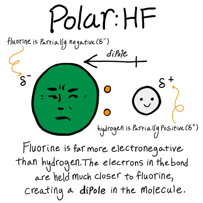 This is a cartoon illustrating an example of a polar bond. The image shows the compound HF, hydrofluoric acid. A caricatured fluorine atom looks at hydrogen with disdain while the electrons between them are much closer to fluorine. The text reads: "Fluorine is far more electronegative than hydrogen. The electrons in the bond are held much closer to fluorine, creating a dipole in the molecule". As a result, fluorine has a partial negative charge and hydrogen has a partial positive charge.