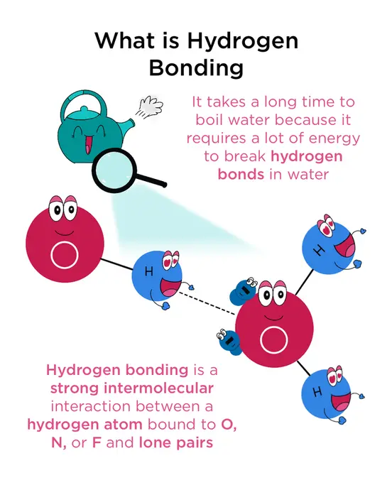 What is hydrogen bonding? It is a strong intermolecular interaction between a hydrogen atom bound to O, N, or F and lone pairs. It takes a lot of energy to break, which is why boiling water takes a long time.