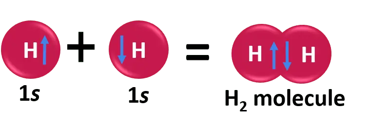 Two *s* orbitals of hydrogen atoms overlap to form a $H_2$ molecule.