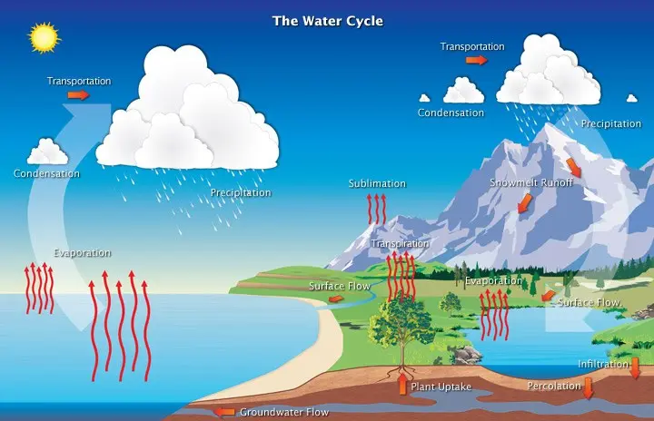 A diagram of the water cycle