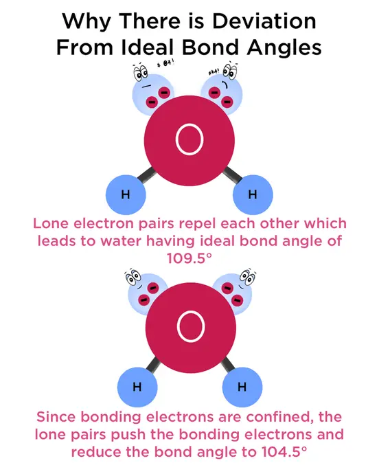 Why is there a deviation from ideal bond angles? Electron lone pairs repel each other which leads to the bent structure in water. The ideal angle is 109.5 degrees while the experimental value is 104.5 degrees. This is because bonding electrons are confined which allows the lone electron pairs to further push down the bonding electrons. 