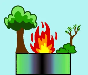 The image shows an example of secondary succession. After a wildfire, vegetation slowly regrows.