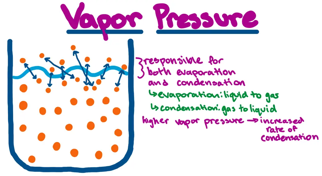 Vapor Pressure

Image of molecules in liquid. Molecules near the surface are bouncing back and forth between vapor and liquid, represented by arrows.

Text regarding arrows: responsible for both evaporation and condensation
evaporation: liquid to gas
condensation: gas to liquid
higher vapor pressure leads to increased rate of condensation
