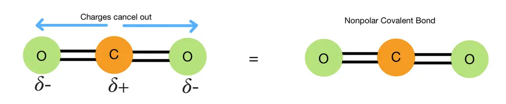 Image showing carbon dioxide. The partial charges cancel out causing there to be no charges on the molecule