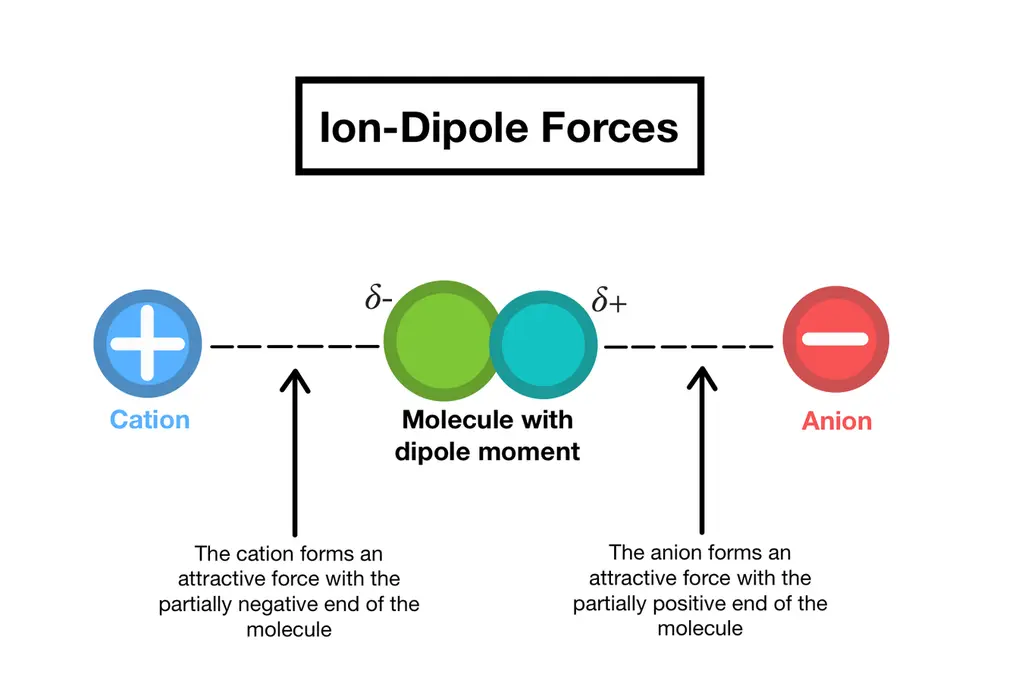 Image showing the Ion-Dipole force between the ions and the partially charged molecule. Anions form an attractive force with the partially positive end of the molecule, and cations form an attractive force with the partially negative end of the molecule 