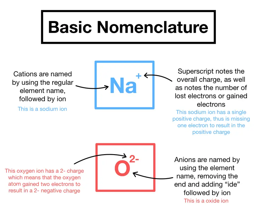 Image showing the basic nomenclature for cations and anions