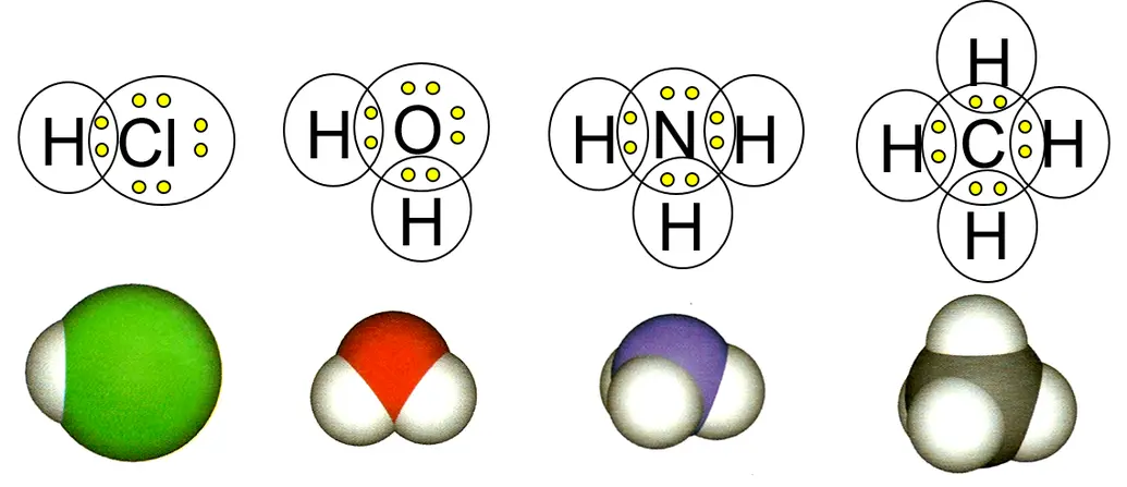 Covalent bonds