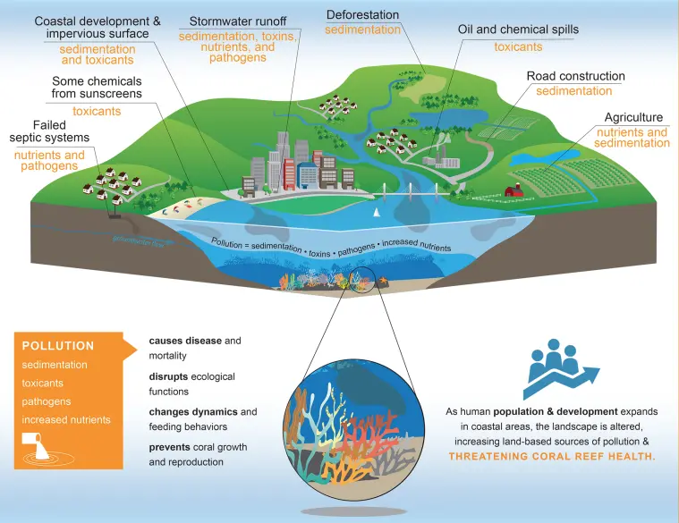 Sources of pollution affecting the ocean include failed septic systems, coastal development, stormwater runoff, deforestation, oil and chemical spills, construction, and agricultural runoff.