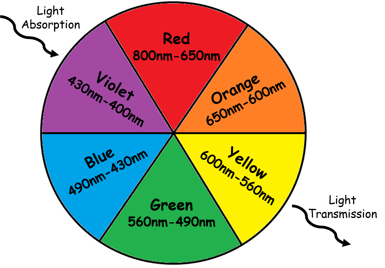 A circle divided into six pieces, each with a different color. The colors opposite are related through absorption and transmittance. 