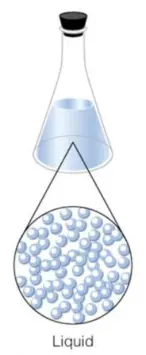A liquid in a container. The liquid takes the shape of the container it is placed in.