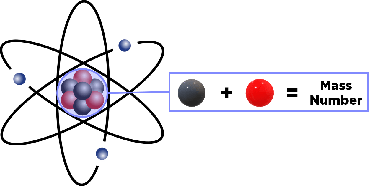 Mass Number = Protons in the nucleus + Neutrons in the nucleus