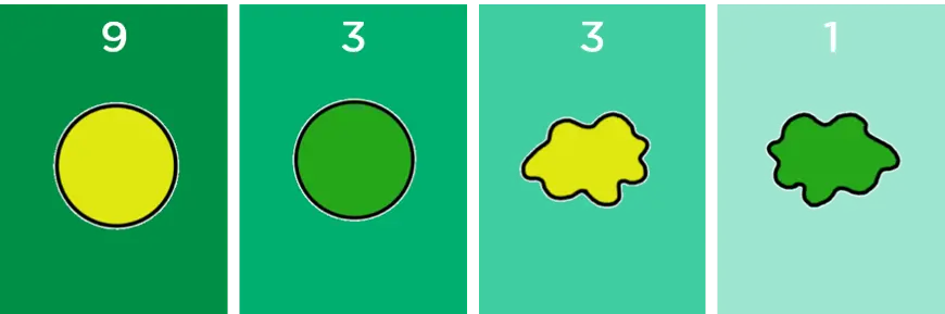 This image shows the 9:3:3:1 ratio of offspring in Mendel's F2 generation experiment. For every one wrinkly green seed, three are wrinkly yellow, three are round and green, and nine are round and yellow.
