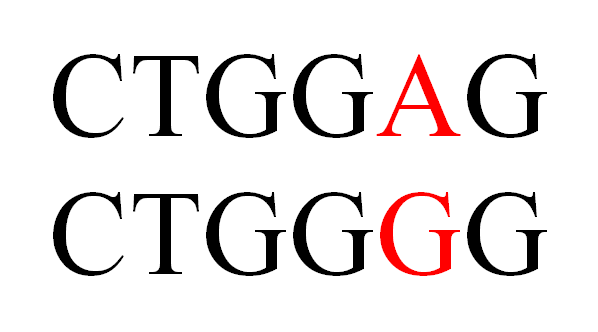 CTGGAG mutated to CTGGGG