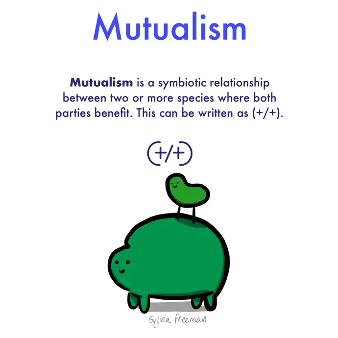 This is a cartoon illustration explaining what mutualism is. The image shows two happy, blobby, green creatures. There is a small, green, birdlike creature perched on top of a large, round, green creature. The image text reads: Mutualism is a symbiotic relationship between two or more species where both parties benefit. This can be written as (+/+).