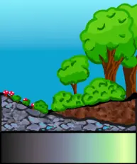 The image shows primary succession. As fungi break down inorganic material, organic material like soil builds up. This allows larger organisms like bushes and trees to grow.