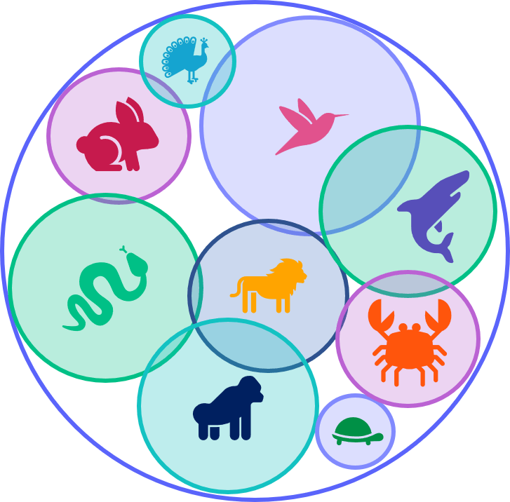 A cute graphic of colorful animals. Each animal exists in its own space, or niche.