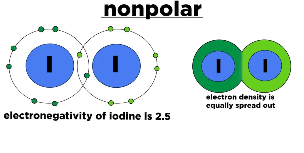 Iodine is a nonpolar molecule made of two iodine atoms. Both atoms have the electronegativity 2.5, so electron density is spread out.