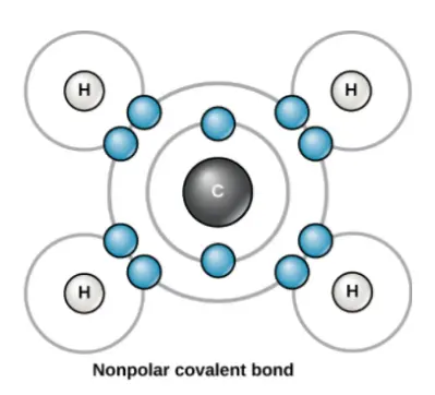Non-polar covalent bond.
