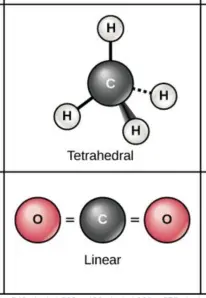 Symmetrical molecules
