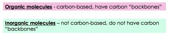 Organic molecules are carbon-based and have a carbon backbone. Inorganic molecules are not carbon-based.