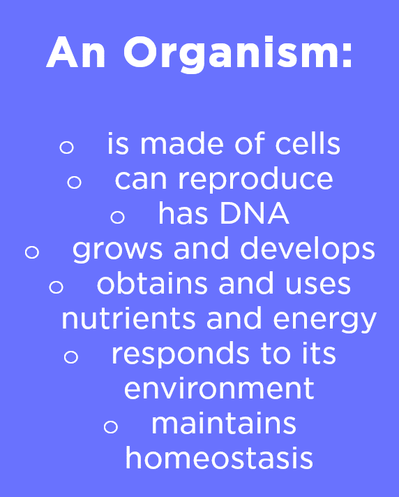 An organism is made of cells, can reproduce, has DNA, grows and develops, obtains and uses nutrients and energy, responds to its environment, and maintains homeostasis.