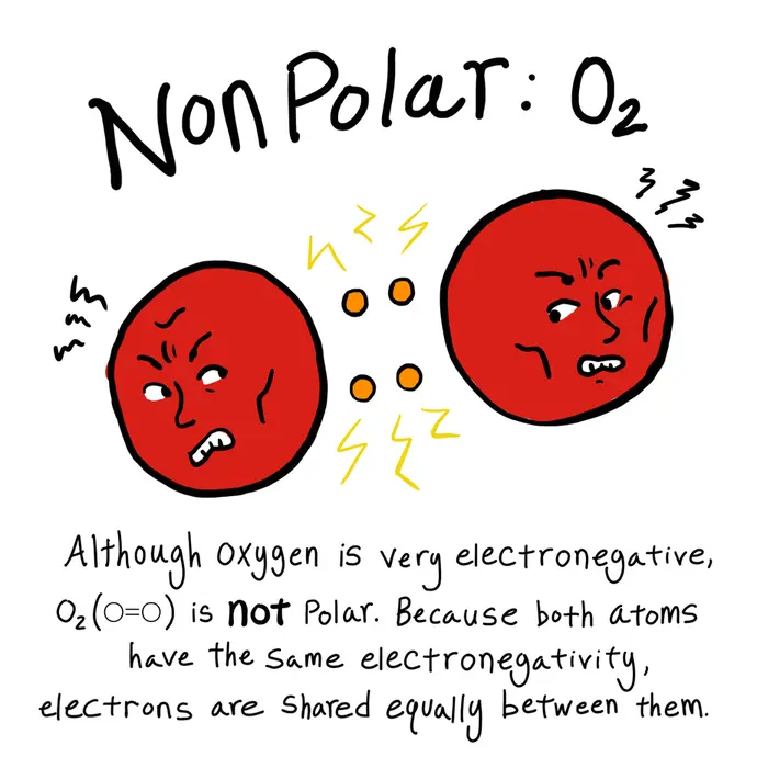 This is a cartoon illustrating an example of a nonpolar bond. The image shows the compound O$_2$.  Two caricatured oxygen atoms are glaring at each other while the electrons between them are spaced evenly between them. The text reads: "Although oxygen is very electronegative, O$_2$ is not polar. Because both atoms have the same electronegativity, electrons are shared equally between them."