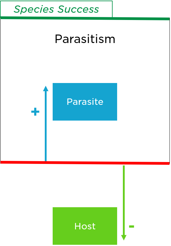 In parasitism, the parasite gains fitness while the host is harmed.