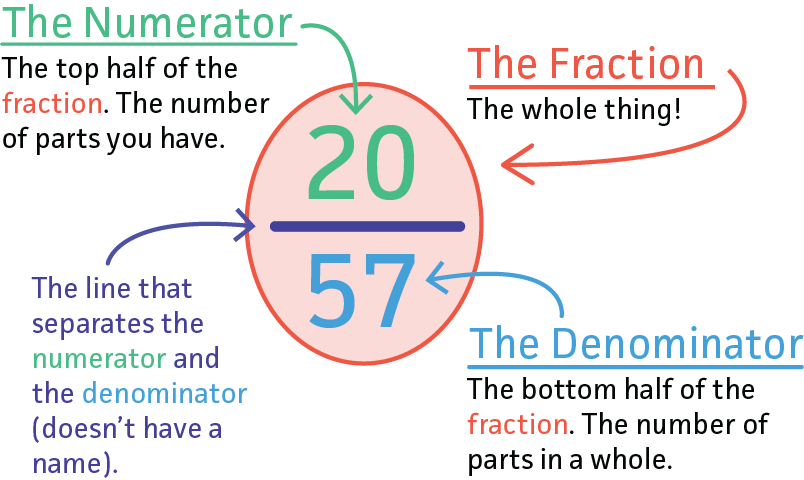 The fraction 20/57. The numerator is the top half of the fraction. The number of parts you have. It is 20. The denominator is the bottom half of the fraction. The number of parts in a whole. It is 57. The fraction is the whole thing. The line that separates the numerator and denominator doesn't have a name.