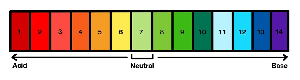 pH scale showing acids as a pH less than 7 and bases as a pH greater than 7