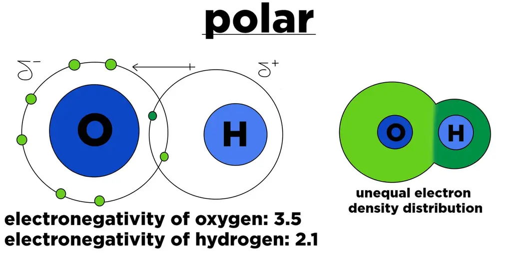 A polar molecule. The electronegativity of oxygen is 3.5 and that of hydrogen is 2.1. There is unequal distribution of electron density.