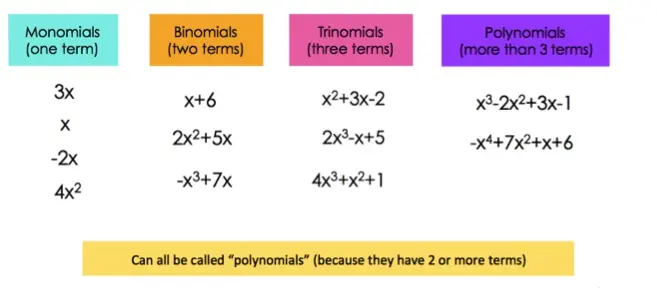 Monomials: 3x, x, -2x, 4x^2
Binomials: x + 6, 2x^2 + 5x, -x^3 + 7x
Trinomials: x^2 + 3x - 2, 2x^3 - x + 5, 4x^3 + x^2 + 1
Polynomials (more than 3 terms): x^3 - 2x^2 + 3x - 1, -x^4 + 7x^2 + x + 6
Note: they can all be called "polynomials" because they are all expressions consisting of coefficients and variables.