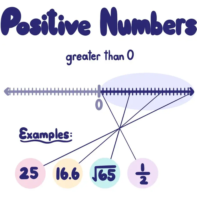 Positive Numbers are greater than 0. Examples are 25, 16.6, square root of 65, and 1/2. 