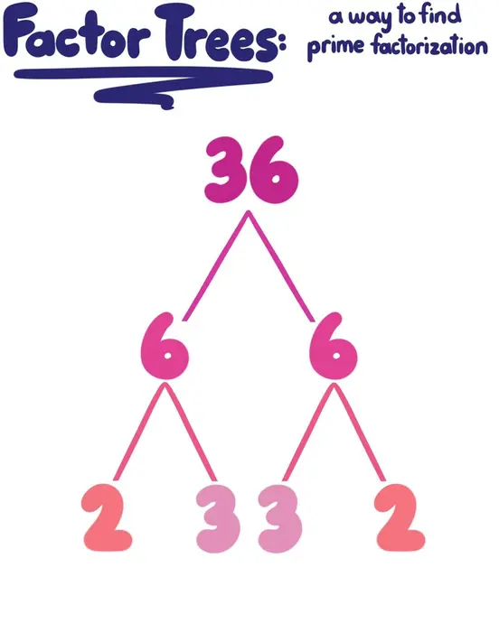 A tree with 36 at the top. It branches out to 6 and 6. Each 6 branches out to 2 and 3.