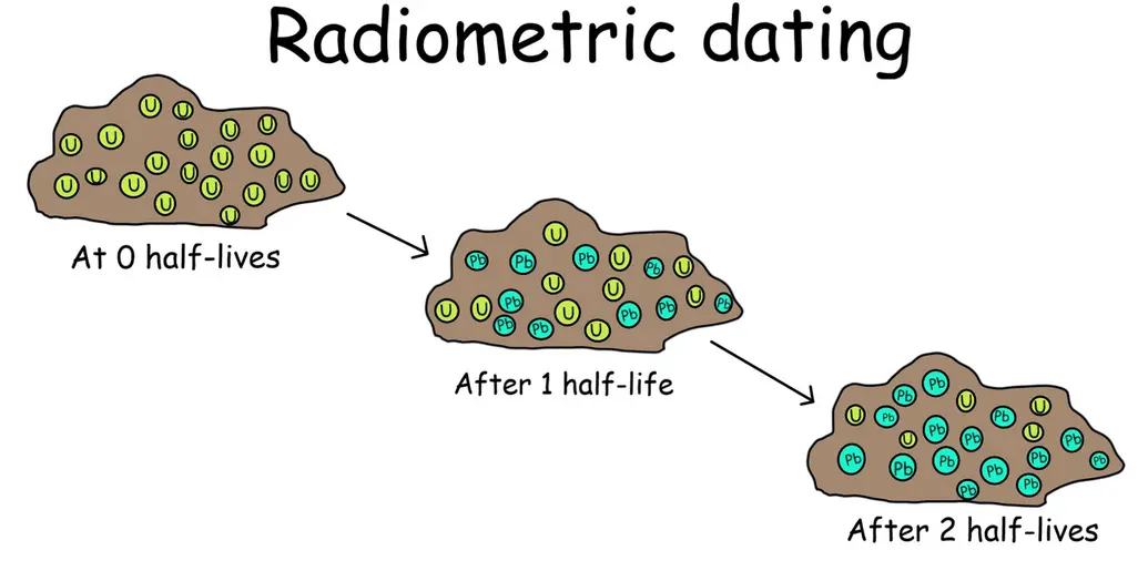 An example of radiometric dating. A sample of a rock begins with 20 molecules of radioactive uranium at 0 half-lives. After 1 half-life, half of the molecules of uranium turn into non-radioactive lead. This means that 10 of the 20 molecules are now lead. After 2 half-lives, half of the uranium molecules that are left after 1 half-life turn into lead. This means that 15 of the molecules are now lead.