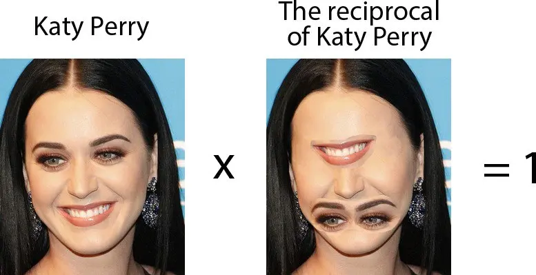 Katy Perry * the reciprocal of Katy Perry = 1