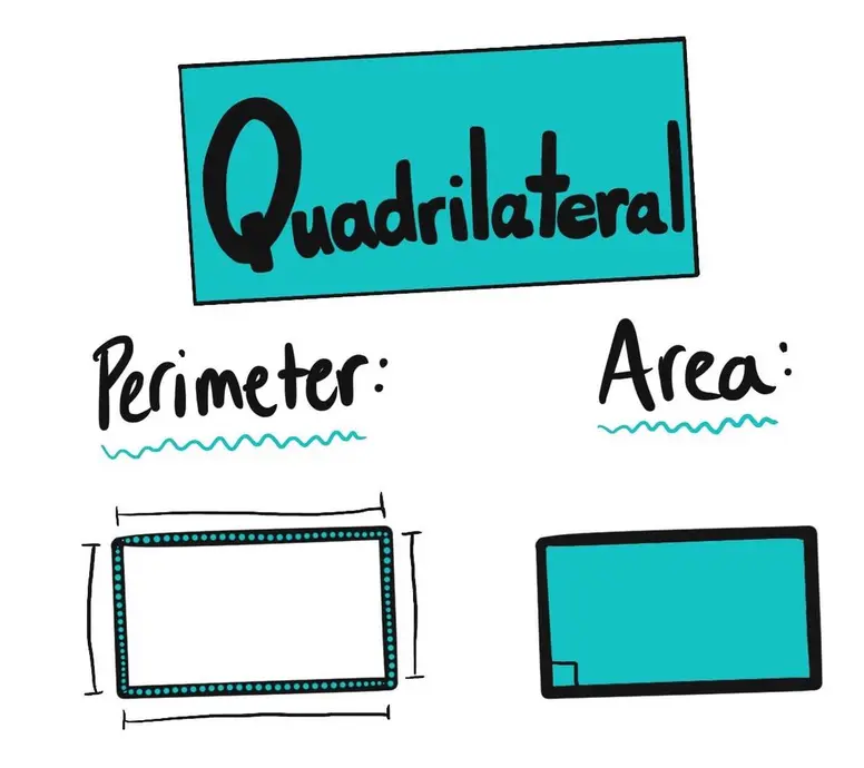 The perimeter of a quadrilateral (in this case a rectangle) is the distance around its four sides. To depict the perimeter, there is a rectangle with the sides colored in turquoise. The area of a quadrilateral is the amount of space it takes up in a plane. To depict this, there is an identical rectangle with the inside colored turquoise.