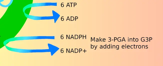 The image is a cropped portion of the original diagram. This portion shows the steps of reduction as described below.
