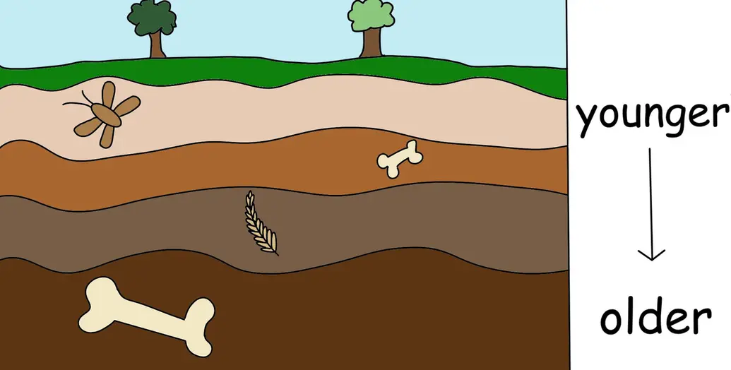 A diagram of how relative dating works. Upper layers (closer to the surface) are younger than the deeper, lower layers.